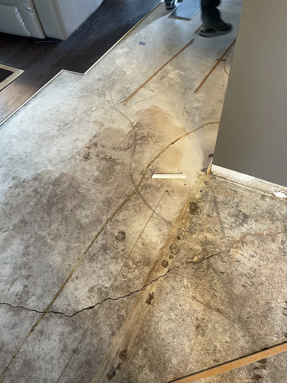 Water damage and mold exposed beneath flooring during kitchen remodel in Fishers Indiana