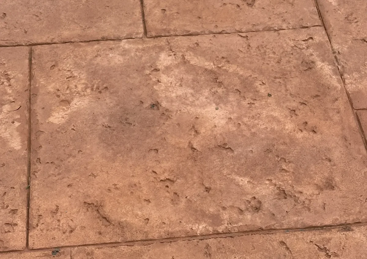 Close-up of Ashlar Slate stamped concrete in Terracotta with Georgia Clay release